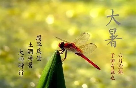 大暑发给客户的问候语