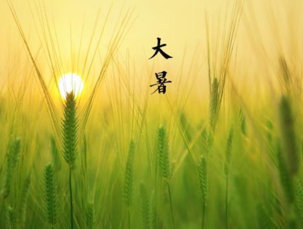 大暑发给客户的问候语