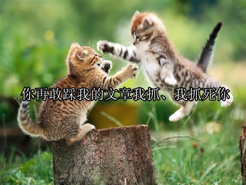 朋友圈逗人开心的句子风趣幽默(53句)