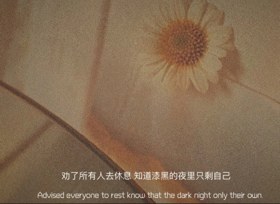 男人看了会心疼亏欠你的文案