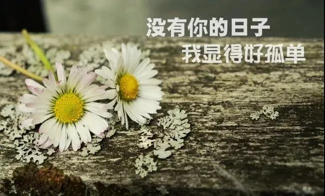 形容看清现实的句子