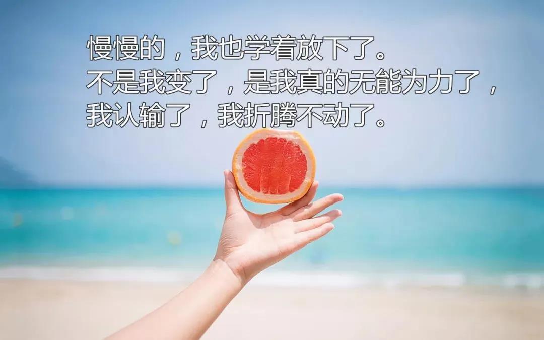 形容看清现实的句子