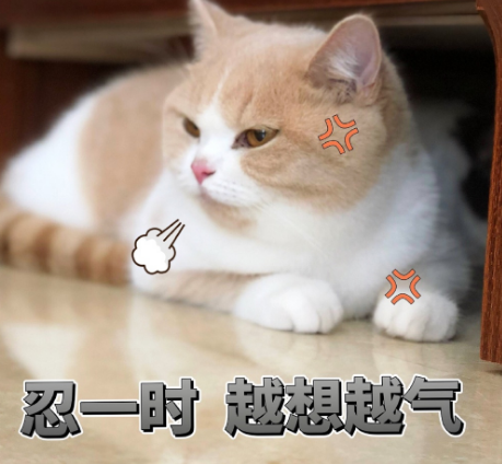 可爱有趣的朋友圈说说