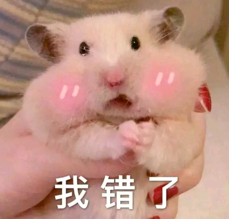 可爱有趣的朋友圈说说