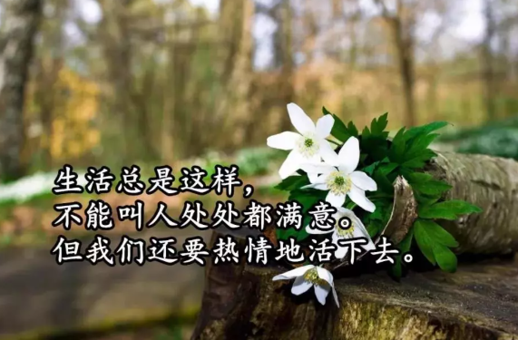 朋友圈穿透人心的感悟语录