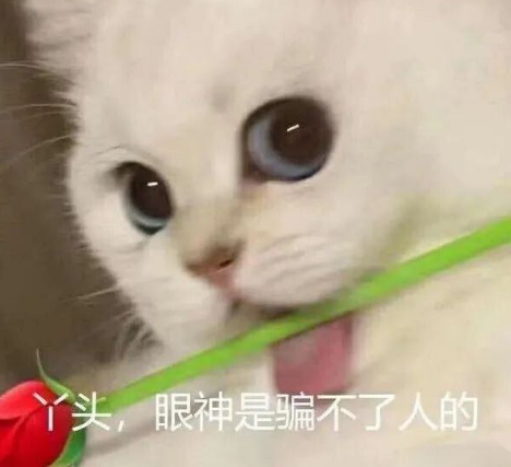可爱有趣的朋友圈说说