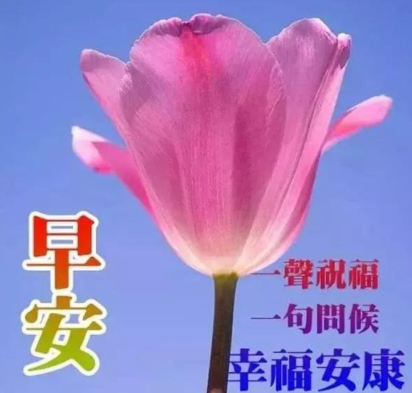 早安最短一句话
