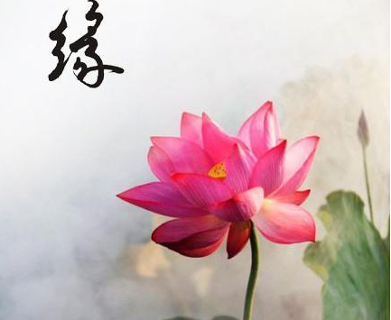 佛句子短句子经典语录 佛语经典语录