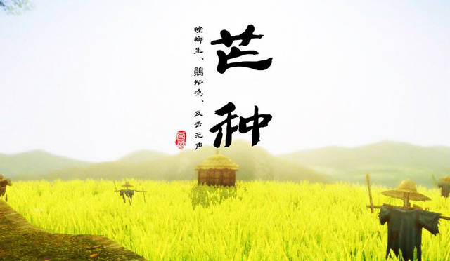 芒种节气图片高清 关于芒种的图片大全