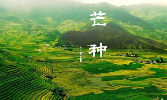 芒种说说及图片 关于芒种的心情说说