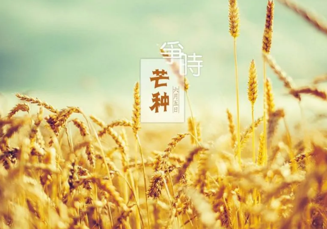 芒种说说及图片 关于芒种的心情说说