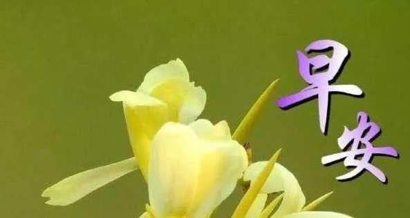 每日早安奋斗励志的话 早安奋斗简单一句话