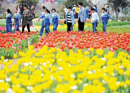 2021春天春游朋友圈文案 春天踏青春游的有趣句子