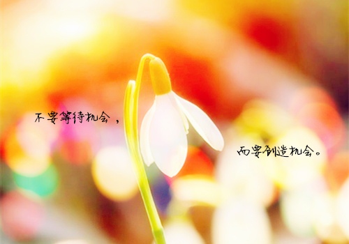 2021新年新气象的励志句子(43句)