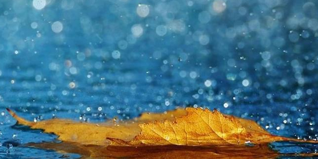 下暴雨的说说微信朋友圈
