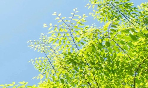 现实生活又很扎心的句子 发朋友圈生活疲惫的说说