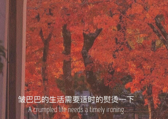 关于爱情的伤感说说委屈