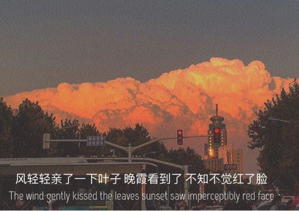 有关一个人被抛弃的说说