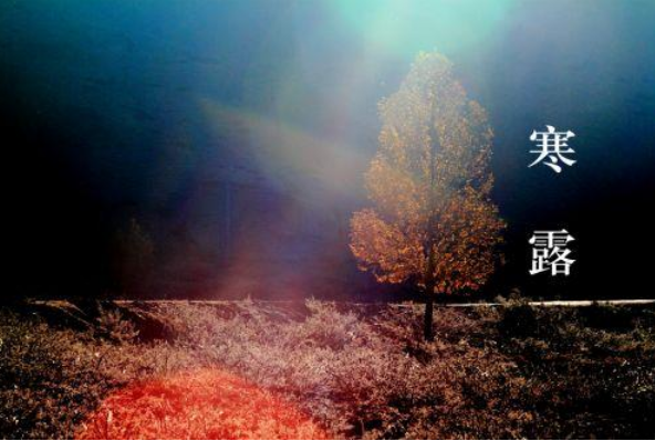 寒露发朋友圈的美句 寒露节气发朋友圈经典说说