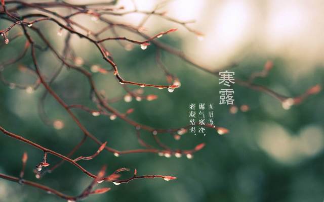 寒露节气发朋友圈说说