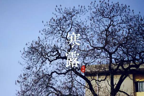 寒露节气发朋友圈说说
