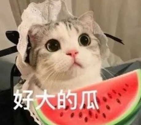 关于近期热搜的吃瓜文案