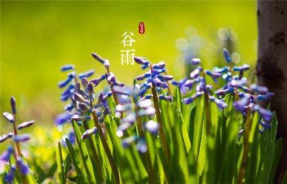 网易云热评励志合集 励志语录2022网易云音乐