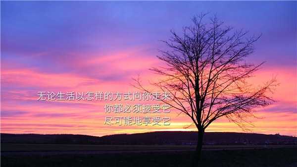 人生感悟的句子 励志与青春有关的日子