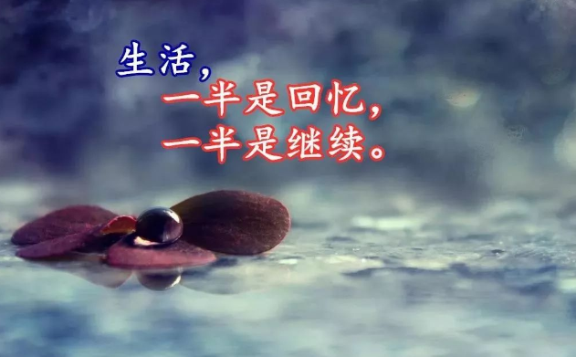 适合发朋友圈的句子2021短句