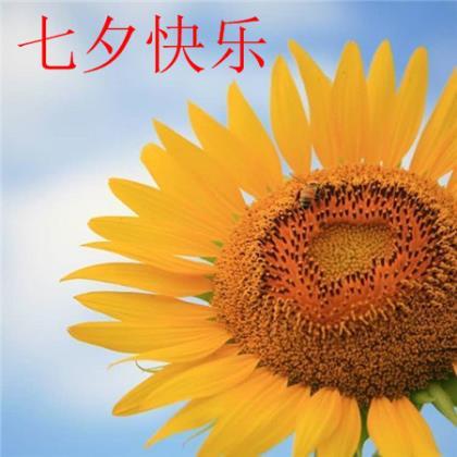 励志句子朋友圈说说 朋友圈励志说说正能量