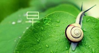 适合早上发的早安问候语 每日晨语短句