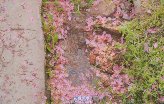 很温柔的初夏文案  超温柔的短句说说夏天
