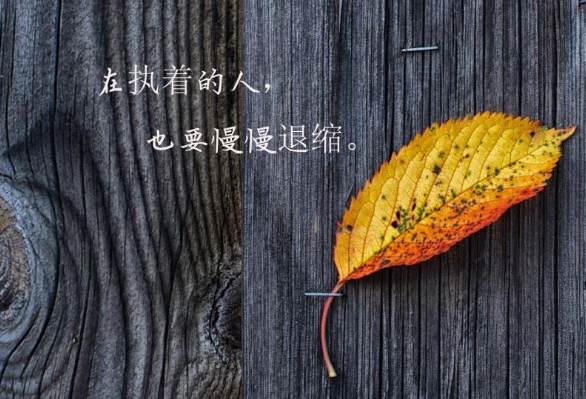 夫妻经典语录伤感说说