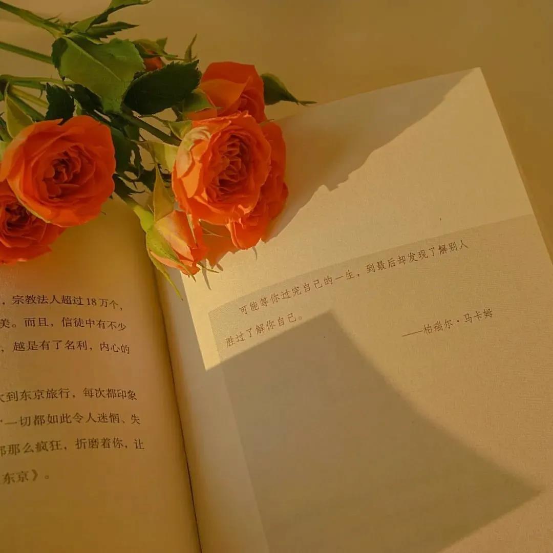 至今为止最惊艳你的短句