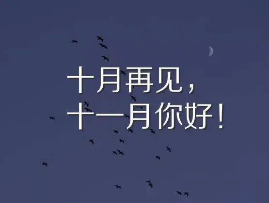 十一月你好的句子