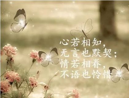人生感悟心语励志短句