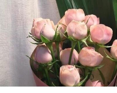 校园的优美句子 美好校园的句子