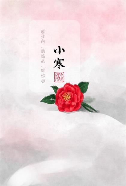 开车的说说的搞笑句子