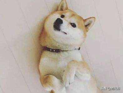 励志伤感过年文案(过年伤感文案)