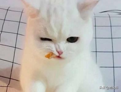 励志伤感过年文案(过年伤感文案)