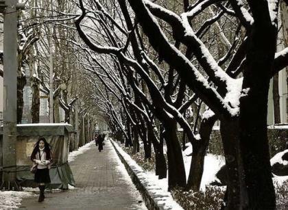 关于大雪节气的诗词