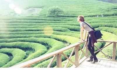 感情句子表达心情短句