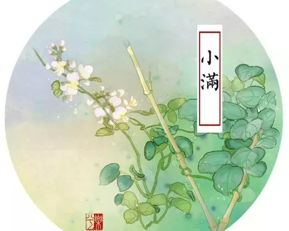 小满经典古诗名句 小满经典诗句配图