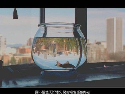 爱情说说一辈子短句 情侣宣布在一起的说说