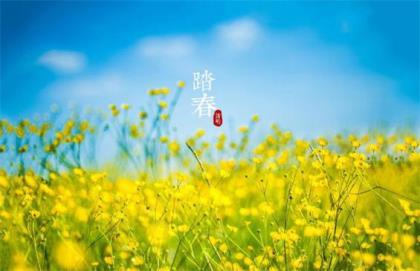 大冬天被蚊子咬醒