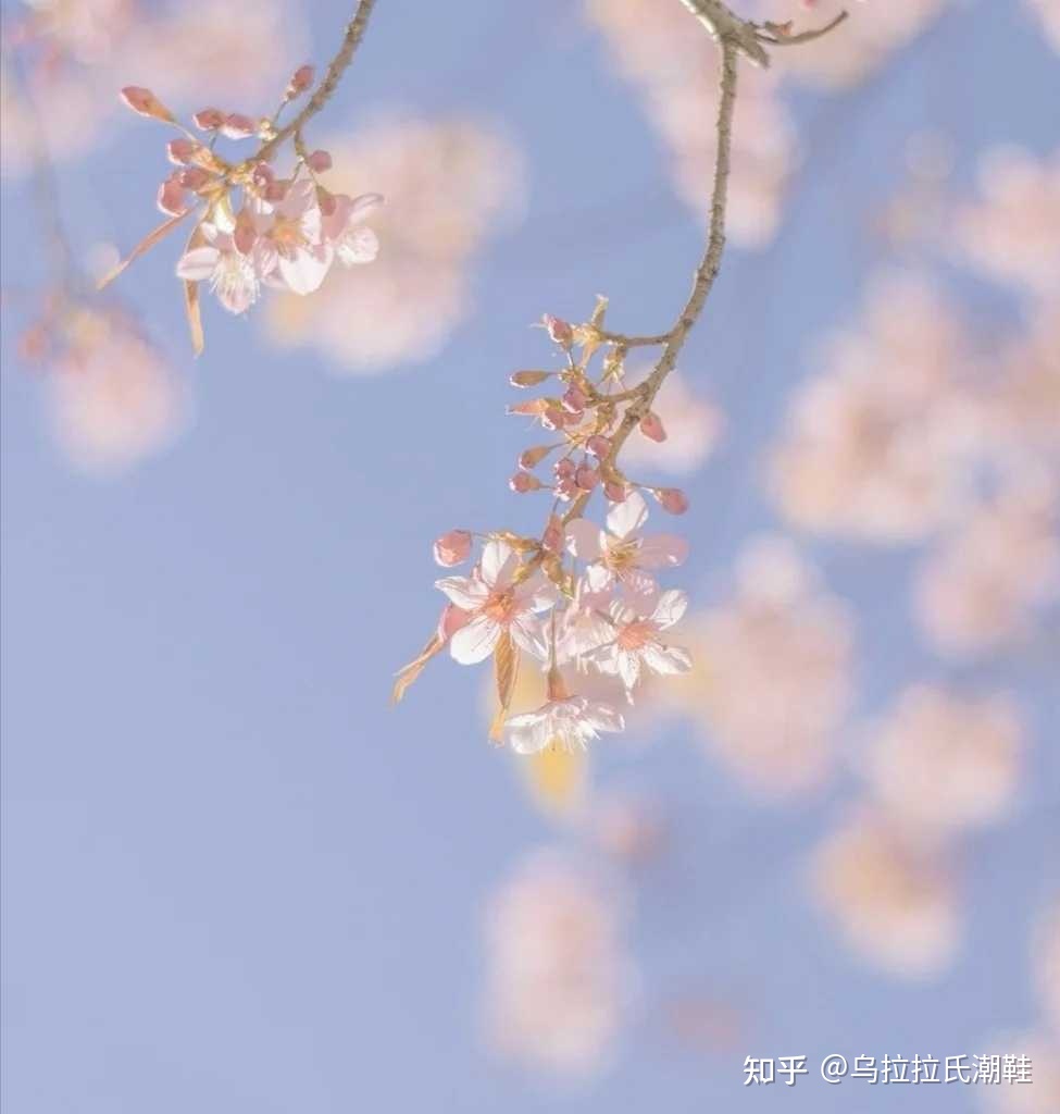 生活本就沉闷，在跑步中寻找自我