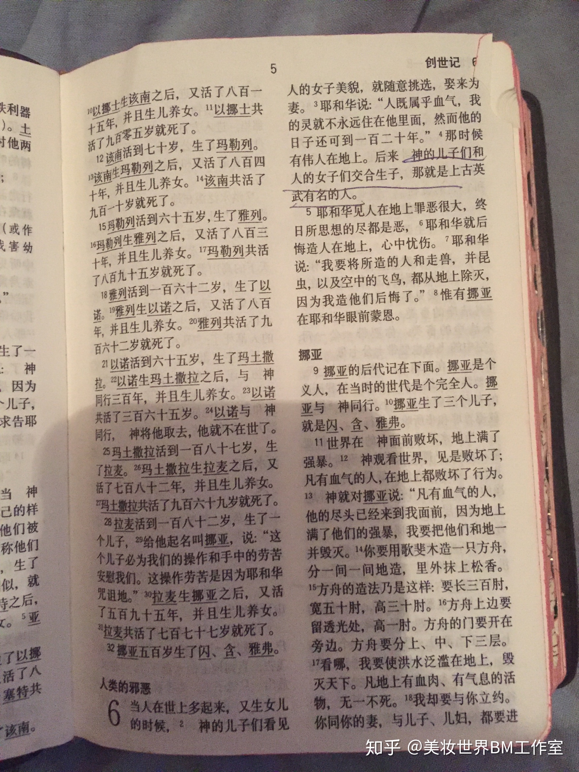 圣经故事（拍照版本）