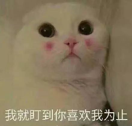可爱朋友圈说说2021 超可爱萌翻了的说说
