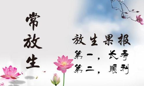 佛家经典禅语净心修身 正能量禅意句子