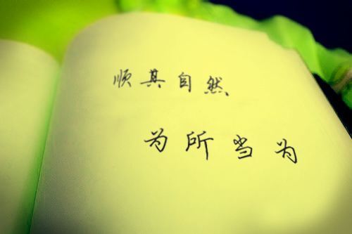 顺其自然的经典句子